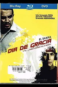 Постер к фильму «Dia de Gracia (2012)»
