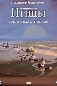 Постер к фильму «Птицы (2001)»