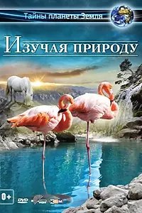 Постер к фильму «Изучая природу 3D (2012)»