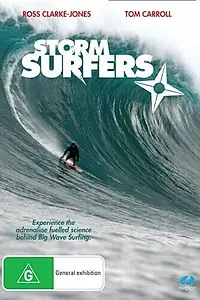 Главный постер фильма «Storm Surfers, Dangerous Banks (2008)»