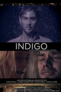 Постер к фильму «Индиго (2014)»
