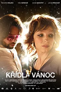 Главный постер фильма «Крылатое Рождество (2013)»