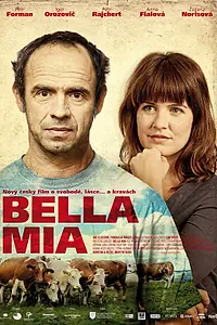 Постер к фильму «Белла миа (2013)»
