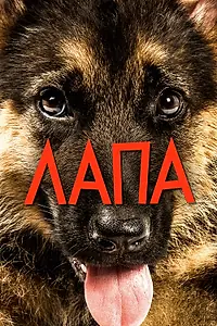 Постер к фильму «Лапа (2015)»