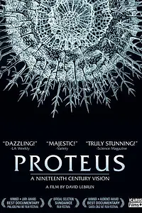 Постер к мультфильму «Глубина (2004)»
