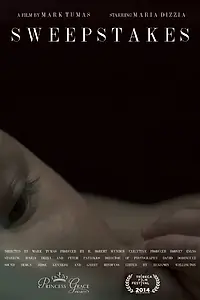 Постер к фильму «Sweepstakes (2014)»