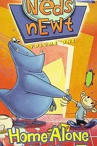 Постер к мультсериалу «Нед и Ньютон (1997 - 1999)»