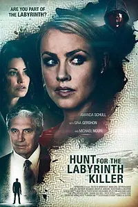 Постер к фильму «Охота на «Лабиринта» (2013)»
