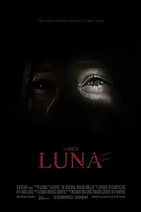 Постер к фильму «Луна (2013)»