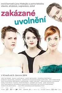 Постер к фильму «Запретное расслабление (2014)»