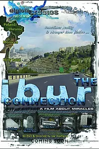 Постер к фильму «The IBUR Connection (2014)»