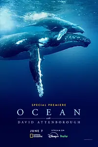 Постер к фильму «Дэвид Аттенборо: Океан (2025)»