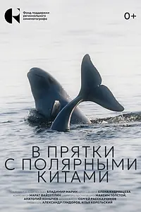 Постер к фильму «В прятки с полярными китами (2024)»