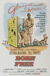 Постер к фильму «Рожденная свободной (1965)»