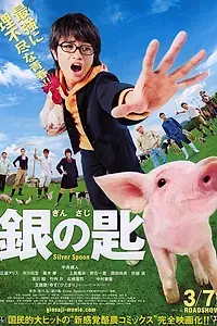 Постер к фильму «Серебряная ложка (2014)»