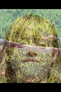Постер к фильму «Люси и Дженни (2013)»
