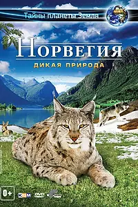 Главный постер фильма «Норвегия 3D: Дикая природа (2013)»
