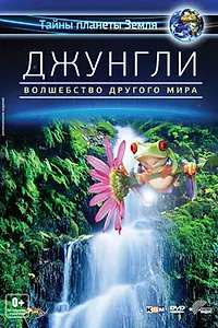 Главный постер фильма «Джунгли 3D: Магия другого мира (2012)»