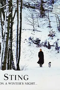 Главный постер фильма «Sting: A Winter's Night... Live from Durham Cathedral (2009)»