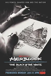 Главный постер фильма «Герблок: Белое и черное (2013)»