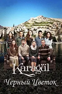 Главный постер сериала «Чёрный цветок (2013 - 2016)»