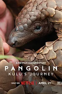 Постер к фильму «Pangolin: Kulu's Journey (2025)»