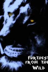Главный постер фильма «Furthest from the Wild (2014)»