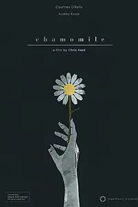 Постер к фильму «Chamomile (2013)»