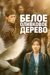 Постер к сериалу «Белое оливковое дерево (2025)»