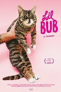 Постер к фильму «Лил Буб и друзья (2013)»