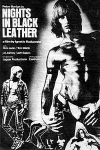 Главный постер фильма «Nights in Black Leather (1973)»