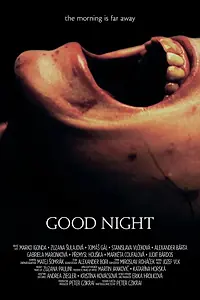Постер к фильму «Good Night (2013)»