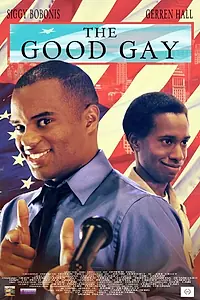 Главный постер фильма «The Good Gay (2014)»