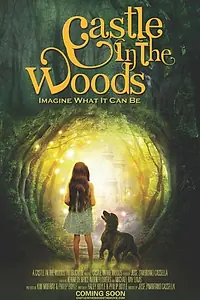 Постер к фильму «Castle in the Woods»