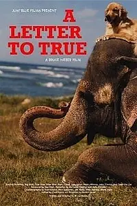 Постер к фильму «A Letter to True (2004)»
