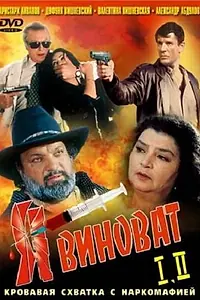 Постер к фильму «Я виноват (1993)»
