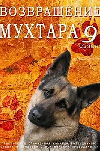 Постер к сериалу «Возвращение Мухтара 9 (2013)»