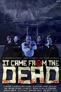 Постер к фильму «It Came from the Dead (2013)»
