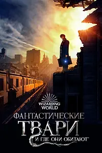 Постер к фильму «Фантастические твари и где они обитают (2016)»