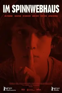 Постер к фильму «В доме из паутины (2015)»