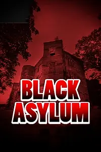 Постер к фильму «Black Asylum (2013)»