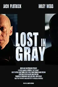 Постер к фильму «Lost in Gray (2014)»