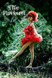 Постер к фильму «The Firebird (2013)»