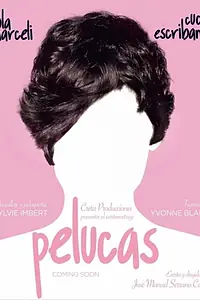 Постер к фильму «Pelucas (2014)»