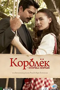 Главный постер сериала «Королёк – птичка певчая (2013 - 2014)»