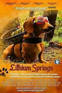 Постер к фильму «Lithium Springs (2004)»