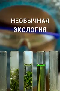 Главный постер сериала «Необычная экология (2021)»