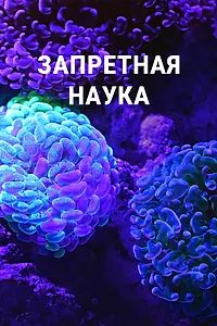 Главный постер сериала «Запретная наука (2022)»