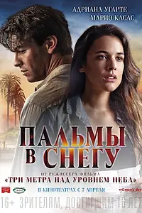 Постер к фильму «Пальмы в снегу (2015)»