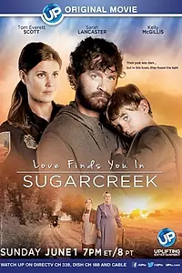 Постер к фильму «Love Finds You in Sugarcreek (2014)»